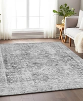 Addison Chantille Machine Washable ACN1229 9'x12' Area Rug