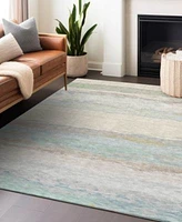 Addison Chantille Machine Washable Acn1283 Area Rug Collection