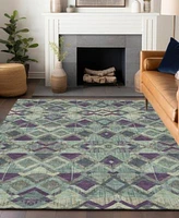 Addison Chantille Machine Washable Acn1311 Area Rug Collection