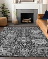 Addison Chantille Machine Washable Acn1322 Area Rug Collection