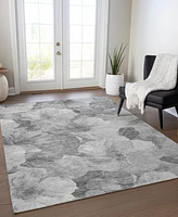 Addison Chantille ACN1542 3'x5' Area Rug