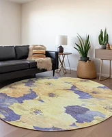 Addison Chantille Machine Washable ACN1548 8'x8' Round Area Rug