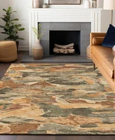 Addison Chantille Machine Washable Acn1345 Area Rug Collection