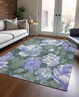 Addison Chantille Machine Washable ACN1563 9'x12' Area Rug