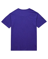 Mitchell & Ness Men's Purple Phoenix Suns Hardwood Classics Felt Applique Slub T-Shirt