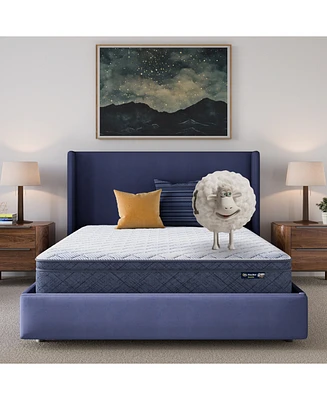 Serta Dream Haven 10" Plush Pillow Top Mattress in a Box