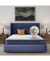 Serta Dream Haven 10" Plush Pillow Top Mattress in a Box