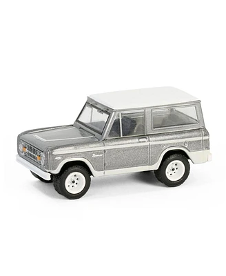 1/64 1967 Bronco, Counting Cars, Hollywood Series