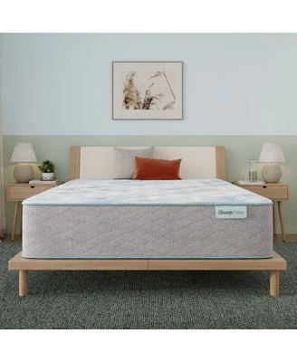 Beautysleep Bashful Lullaby 13.75 Plush Tight Top Mattress Collection