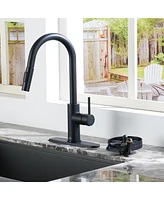 Casainc Stainless Steel Glass Rinser For Kitchen Sink, Sink Accessories Cup Washer