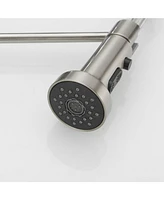 Single-Handle Pull-Down Sprayer 2 Spray High Arc Kitchen Faucet With Deck Plate