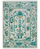 Feizy Karina 69G7F 3'6"x5'6" Area Rug