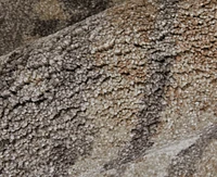 Feizy Skyview 39QBF 5'x7'6" Area Rug