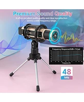 ZealSound Studio Condenser Microphone with Stand, Built-in Sound Card, Echo Recording for Phone, Pc, YouTube, Karaoke, Live Stream (Gold)
