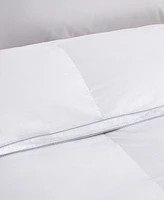 Nikki Chu 300-Thread Count Down Comforter