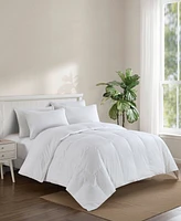 Avocado 500-Thread Count Down Comforter