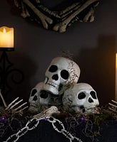Northlight Bag of Skulls Halloween Decorations, Set of 3
