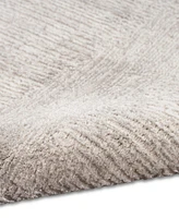 Calvin Klein CK024 Irradiant IRR01 2'2"x7'5" Runner Area Rug