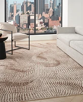 Dkny Central Park West CEP01 7'8"x9'8" Area Rug