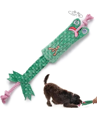Nocciola Toad of War Dog Rope Toy,Christmas gift,Durable Rope Toy for Tug of War,Interactive Squeaky Tug Toy for Small Medium Dogs