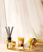 Acqua di Parma Luce di Colonia Candle, 7 oz.