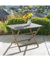 Flynama 43.5'' Foldable Table