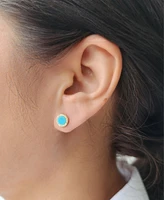 Adornia Gold Turquoise Circle Halo Stud Earrings