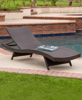 Dustan Wicker Outdoor Chaise Lounge