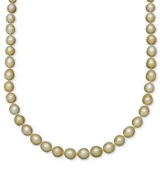 Pearl Necklace, 14k Gold Golden South Sea Pearl Oval Strand (10