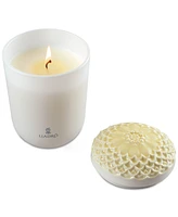 Lladro Echoes of Nature Tropical Blossoms Candle