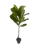 Nearly Natural 4' Fiddle Leaf Uv-Resistant Indoor/Outdoor Tree