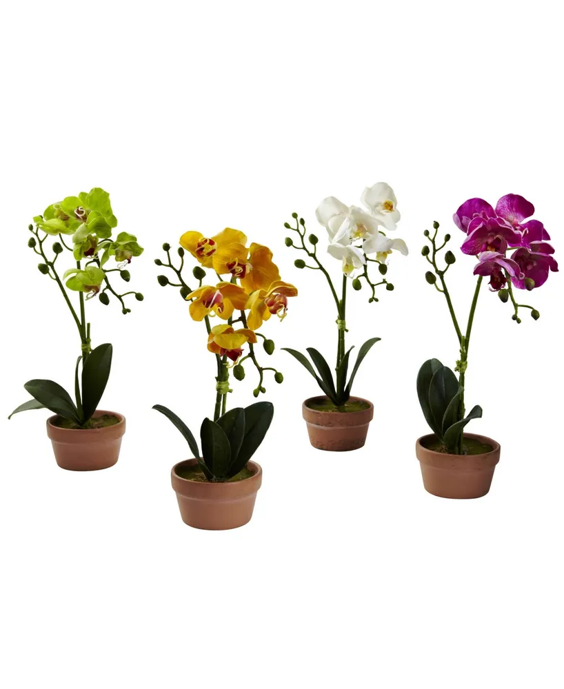 Nearly Natural 4-Pc. Phalaenopsis Orchid Set with Clay Vases