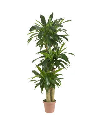 Nearly Natural 57" Corn Stalk Dracaena Real Touch Plant