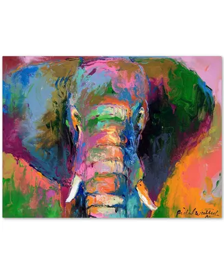Richard Wallich 'Elephant 2' Canvas Art