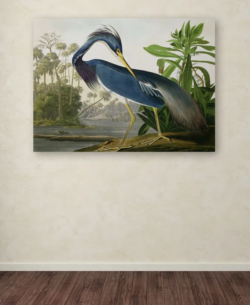 John James Audubon 'Louisiana Heron' Canvas Art