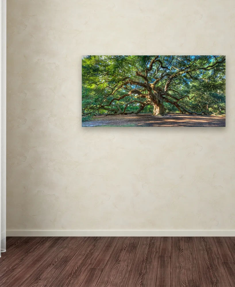 Pierre Leclerc 'Angel Oak Charleston' 24" x 47" Canvas Wall Art