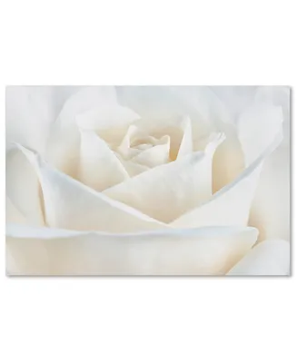 Cora Niele 'Pure White Rose' Canvas Art