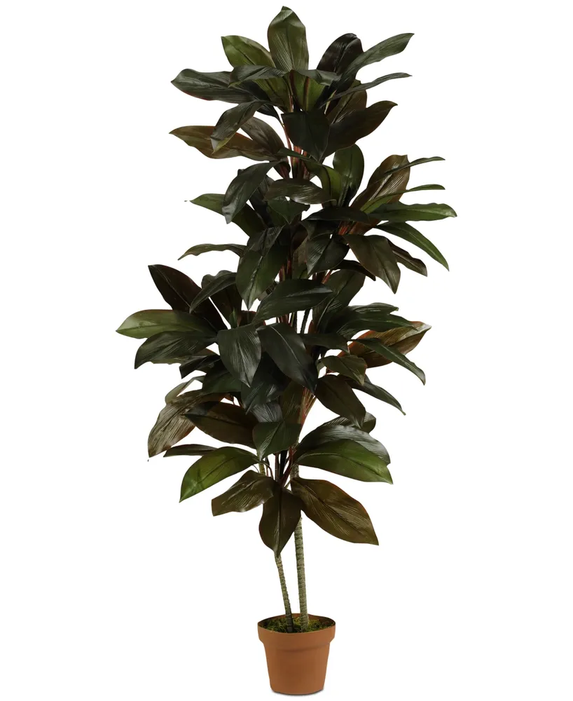 Nearly Natural 5' Cordyline Real Touch Artificial Plant