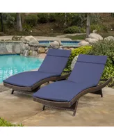 Aldin Outdoor Wicker Adjustable Chaise Lounge