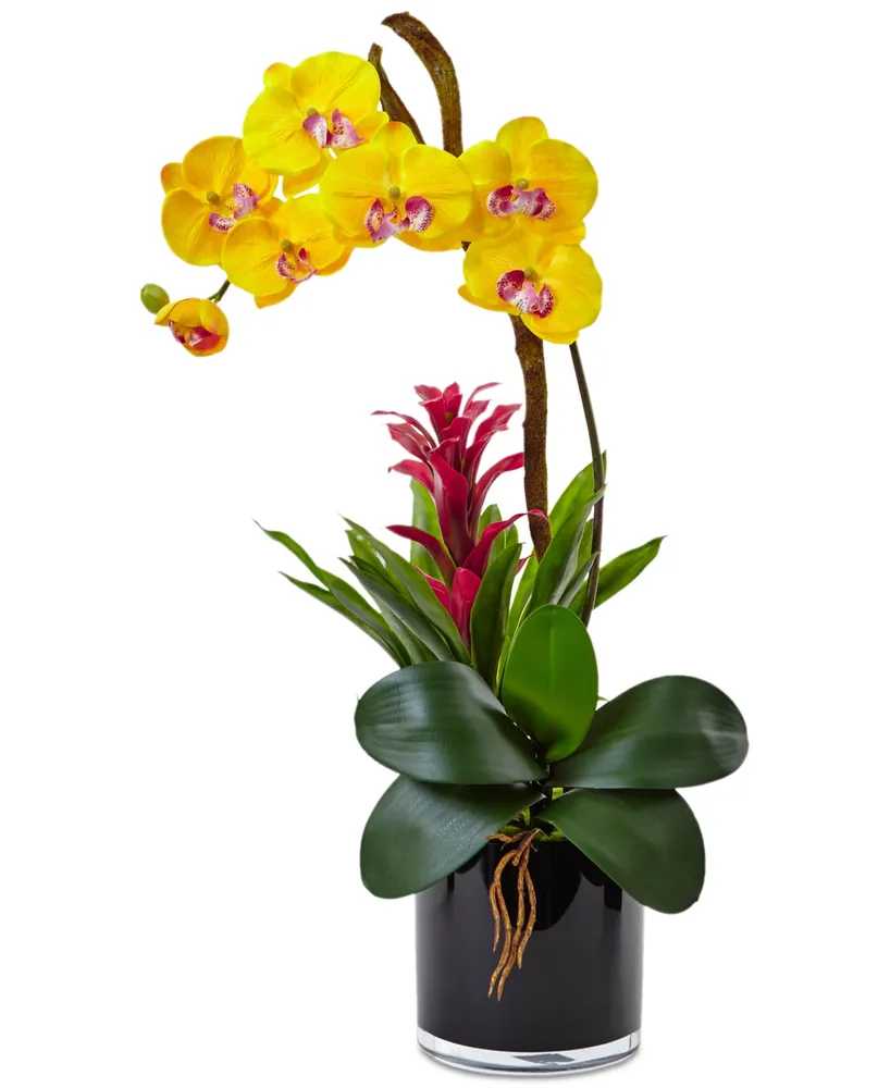 Nearly Natural Orchid & Bromeliad Artificial Arrangement in Glossy Black Cylinder Vase