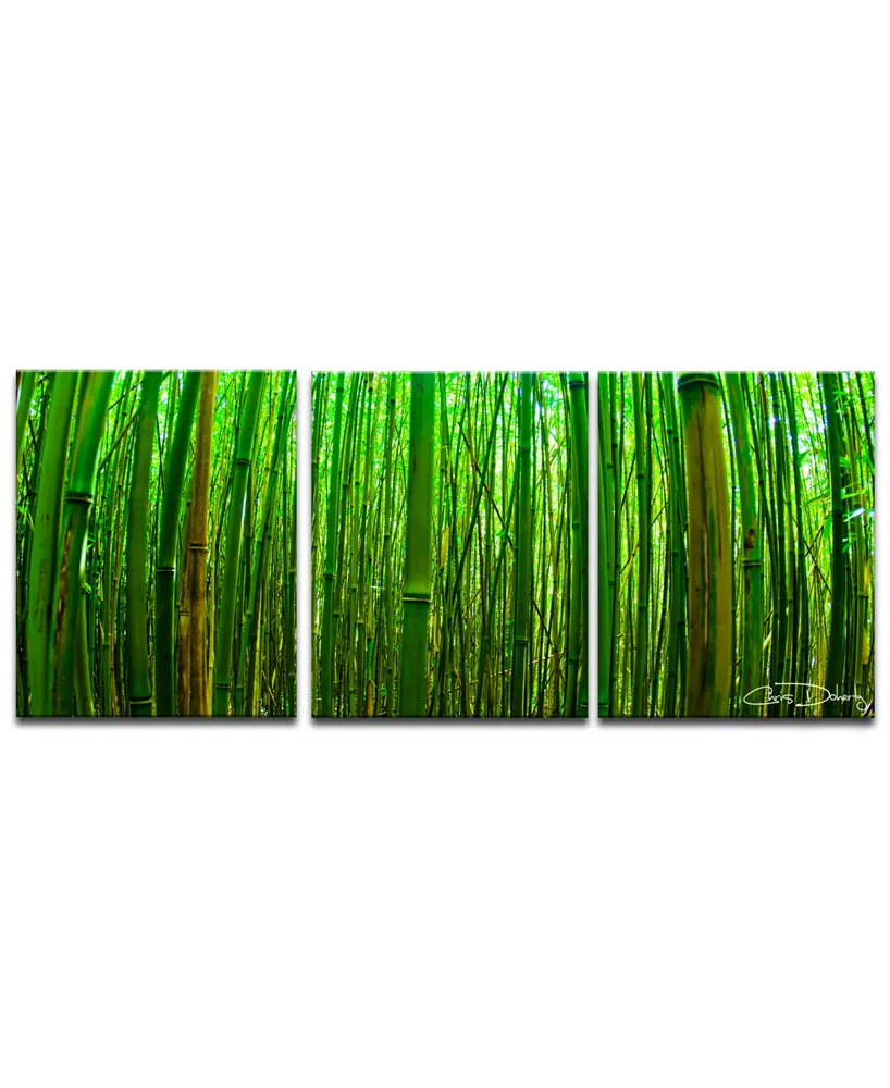 Ready2HangArt 'Maui Palms' 3-Pc. Canvas Art Print Set