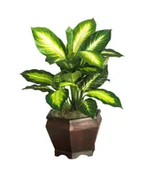 Nearly Natural Golden Dieffenbachia Artificial Plant in Wood Planter