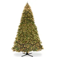 National Tree 16' Douglas Fir Hinged Tree, 2100 Dual-Color Led Lights