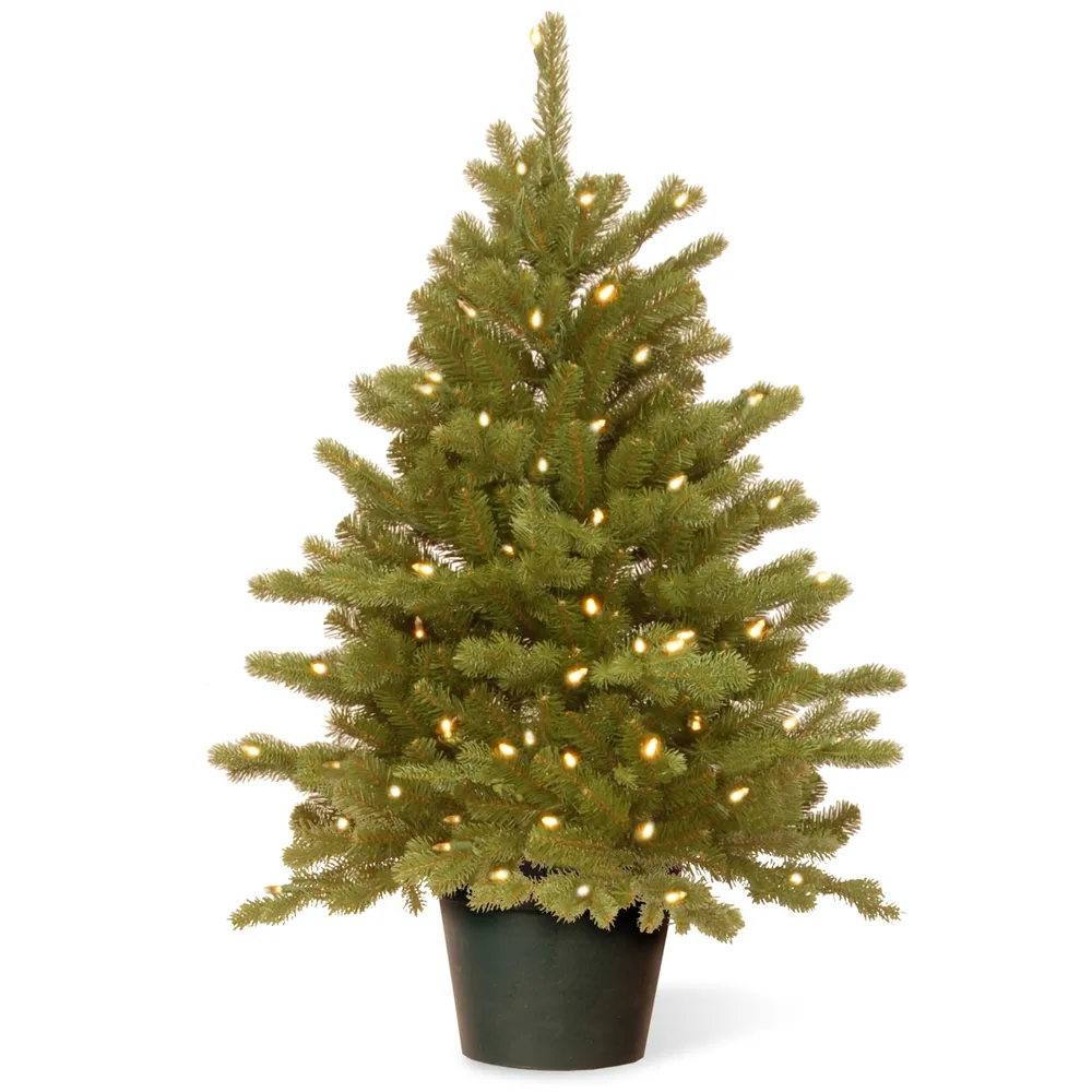 National Tree 3' Feel Real(R) Hampton Spruce Small Wrapped Tree in Growers Pot with 100 Clear Lights