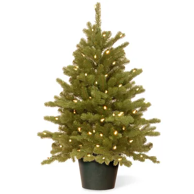 National Tree 3' Feel Real(R) Hampton Spruce Small Wrapped Tree in Growers Pot with 100 Clear Lights