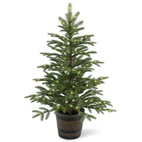 National Tree Company 4' Feel Real(R) Pe Norwegian Spruce Entrance Trees in Wiskey Barrel Pot with 100 Clear Lights