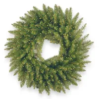 National Tree Company 24" Kingswood Fir Wreath with 250 Battery Operated Infinity Lights