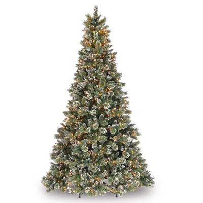 National Tree Glittery Bristle Pine With 900 Clear Lights