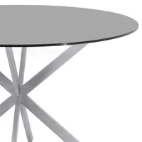 Mystere Round Dining table: In Brushed Stainless Steel With Gray Tempered Glass Top