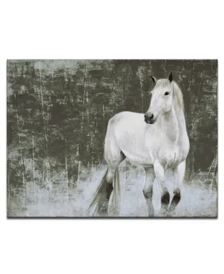 Ready2HangArt, 'White Horse Canvas Wall Art, 30x40"